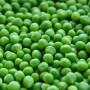 peas-1205673_1920.jpg